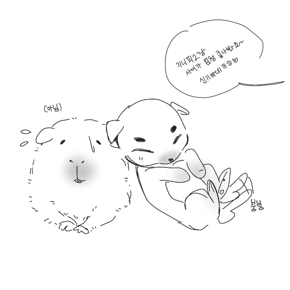 iilmqlz28330's tweet photo. 돟재

기니와 똥개 https://t.co/8PVl1x1wYT