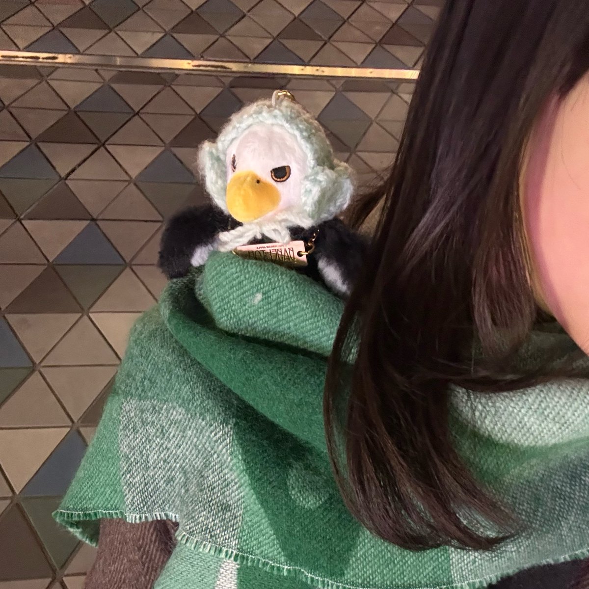 yu7_p1's tweet photo. New tag🏷️💚
(06)🚺

鳥さんﾗﾌﾞです🦅🫶🏻
ミセスのこと沢山語りたいです💕
♡or↺でお迎えさせて頂きます👼🏻

#MrsGREENAPPLE
#ミセス好きな人と繋がりたい https://t.co/ik4XPvb4uR