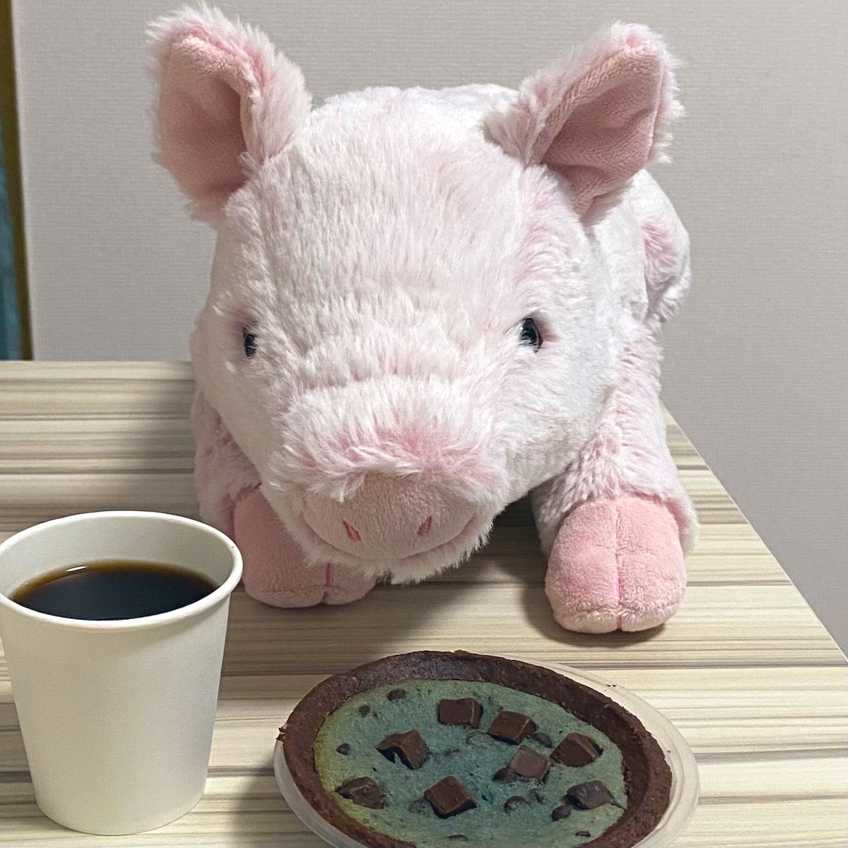 gph2_202's tweet photo. 今日のおやつはチョコミントタルトですっ！
とっても青くてスースーしますっ！
#サンレモン #ひざぶた https://t.co/MCXf2GcQfu