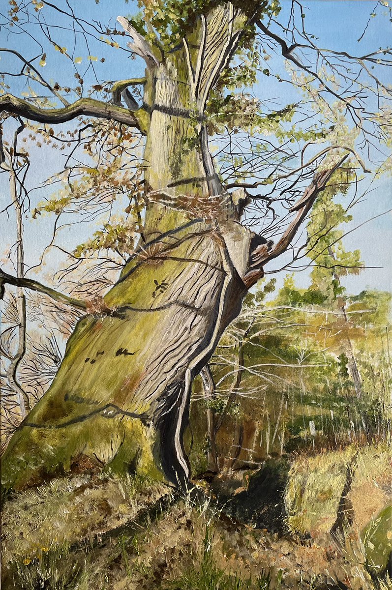 SuesArt's tweet photo. Ancient boundary oak
Acrylics on canvas

https://t.co/V246Kgtt9I https://t.co/7M7wOtF0BE