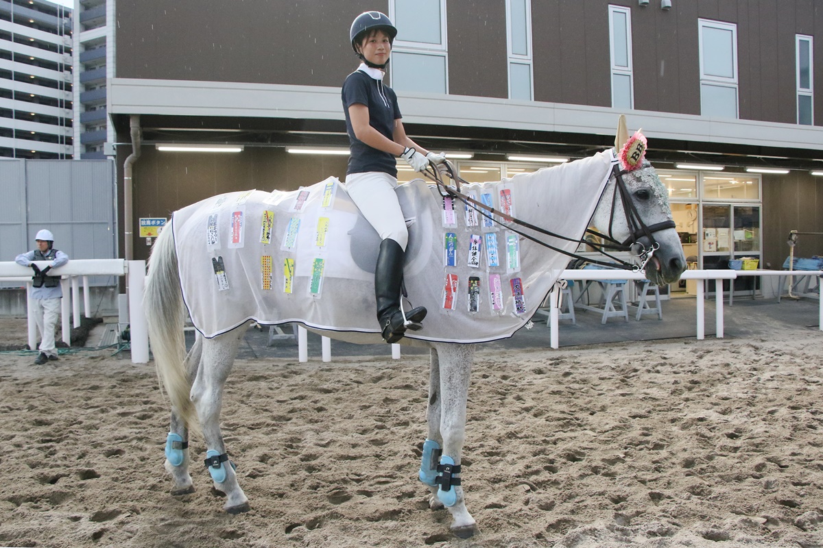 令和8年度第4回 川崎競馬2日目 14時半現在の馬場状態 天気: 曇 馬場