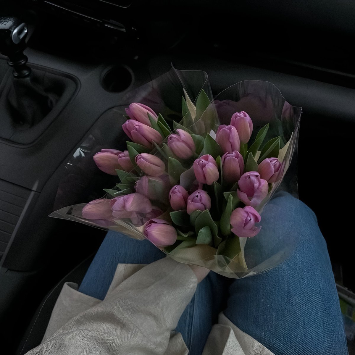 gardenofcolours's tweet photo. tulips https://t.co/yYUcnARr0l