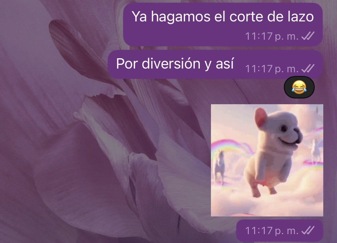 04Littleturtle's tweet photo. A cierta amiga la vuelve a buscar cierto cucaracho, automáticamente yo https://t.co/LHof4SQ2YU