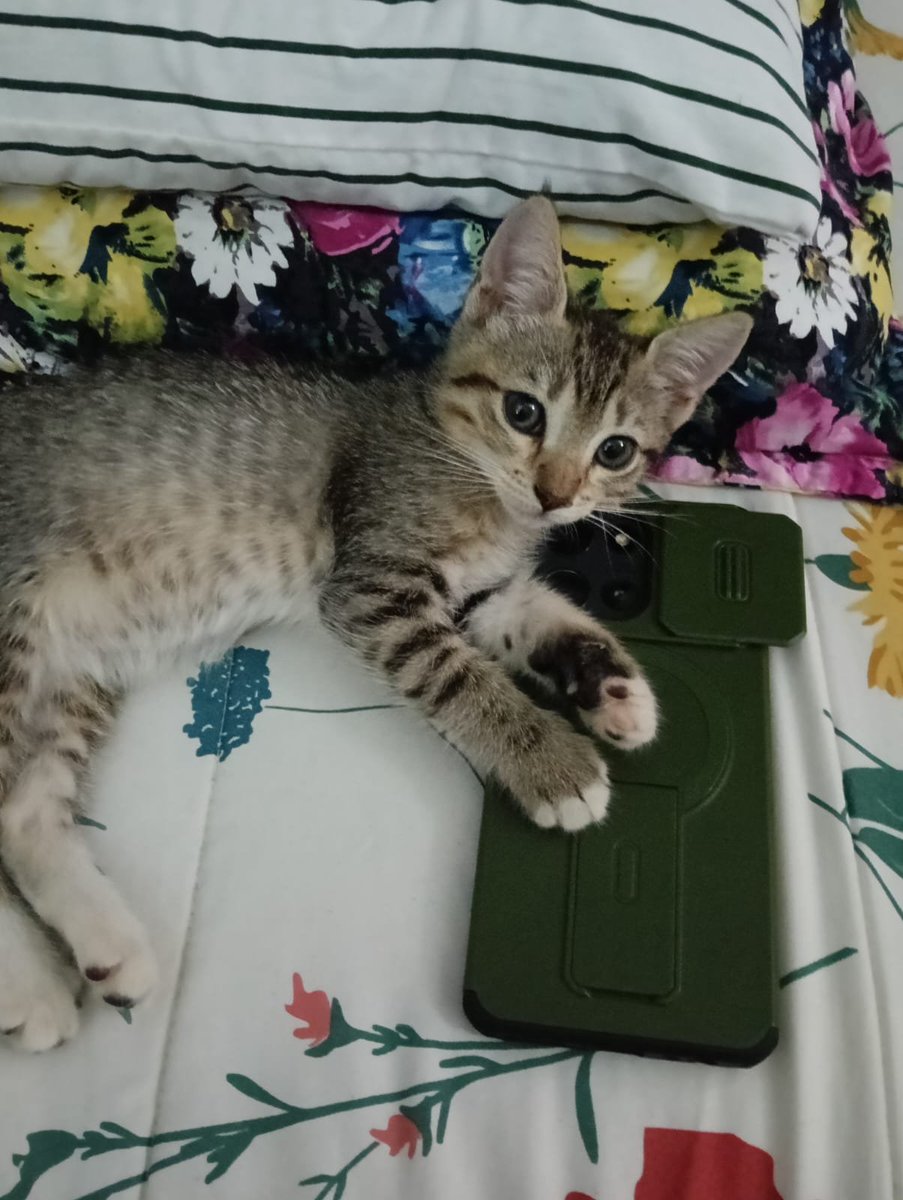 dexter_96's tweet photo. En su nueva casa..!! https://t.co/qr2oSrNb77