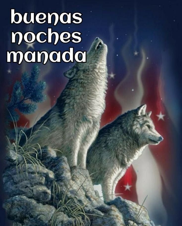 ktylovs's tweet photo. Buenas noches mutis, espero haigan tenido un día muy bonito y así.
Descansen, los tqm a todos 💓🫶🏻 https://t.co/XsizDsNzA8