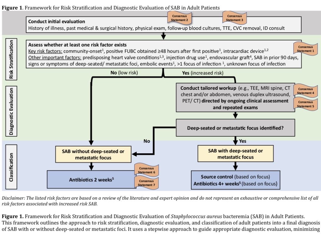 infeccHRUmalaga's tweet photo. IMPORTANTE!!🚨Nueva guía @IDSAInfo y @ESCMID #BACTERIEMIA #Saureus🩸🍇 en 👨🏻y👧
🔹Factores riesgo para infección profunda o metástasis sépticas🫀🧠🦴
🔹Hemos de control?🩸➡️🩸
🔹Cuando ETT o ETE?🐬
🔹Cuando PET-TC?☢️
🔹Tratamiento ➕o➖ de 14 días?💉🗓️
🔗🆓https://t.co/tmBYzXOzyF https://t.co/5hUUP5Wl54
