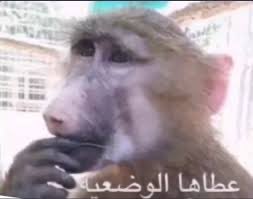 MODEMED100's tweet photo. https://t.co/H5KjcjB0kM