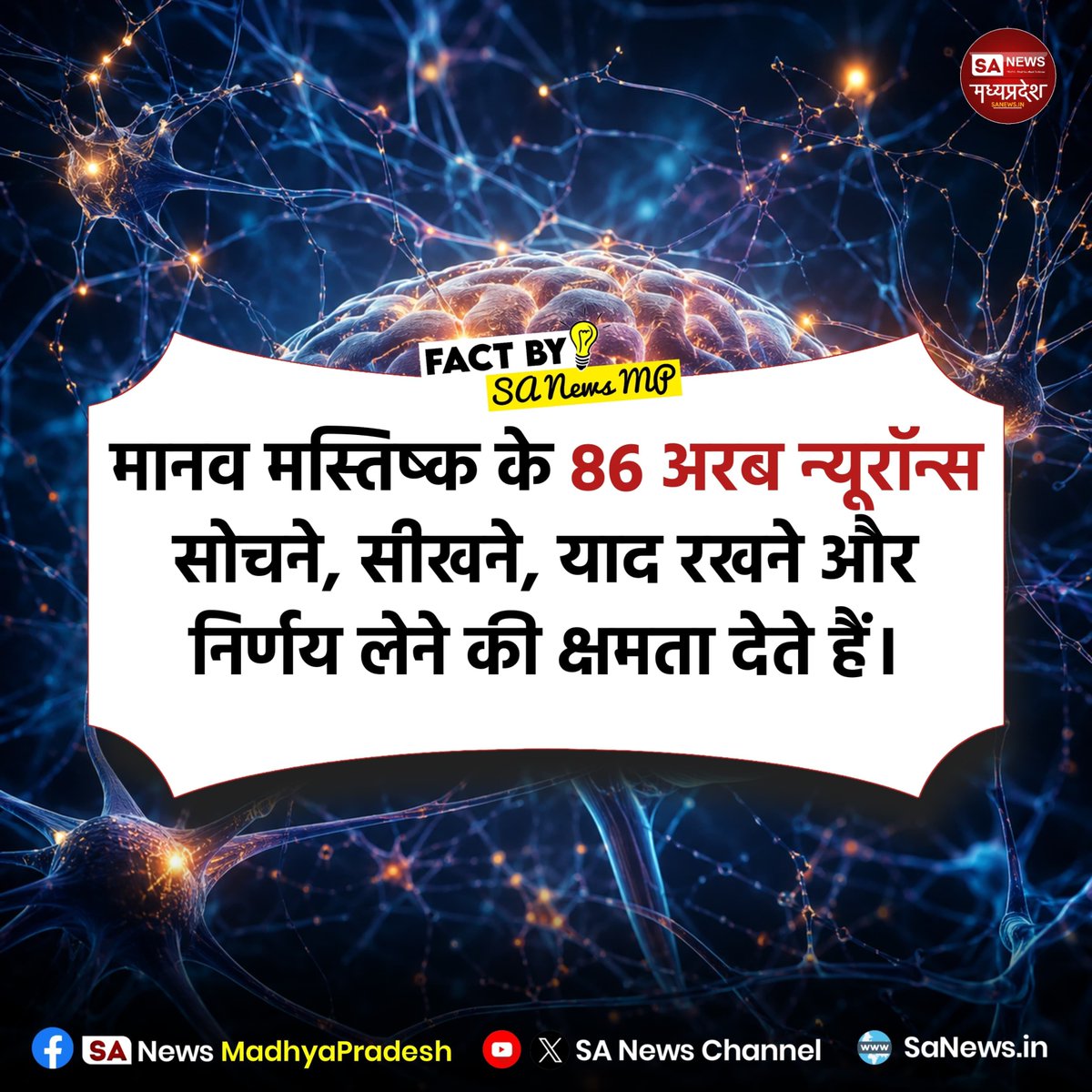 SAnewsMP's tweet photo. मानव मस्तिष्क में लगभग 86 अरब न्यूरॉन्स (तंत्रिका कोशिकाएँ) होते हैं, जो हर पल सूचनाओं का आदान-प्रदान करते हैं? यही अद्भुत नेटवर्क हमें सोचने, सीखने, याद रखने और निर्णय लेने की क्षमता प्रदान करता है।
#HumanBrain
#Neuroscience
#BrainFacts
#ScienceFacts
#Sanewsmp https://t.co/L9Rw0iUbkt