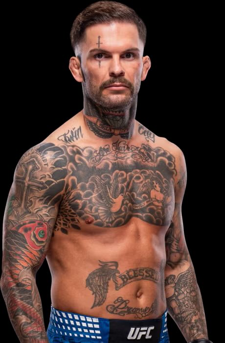 igor03724624's tweet photo. He touched gold now I just wanna see him touch chins for as long as it last #codygarbrandt #ufc https://t.co/KpjJ3IPxK6