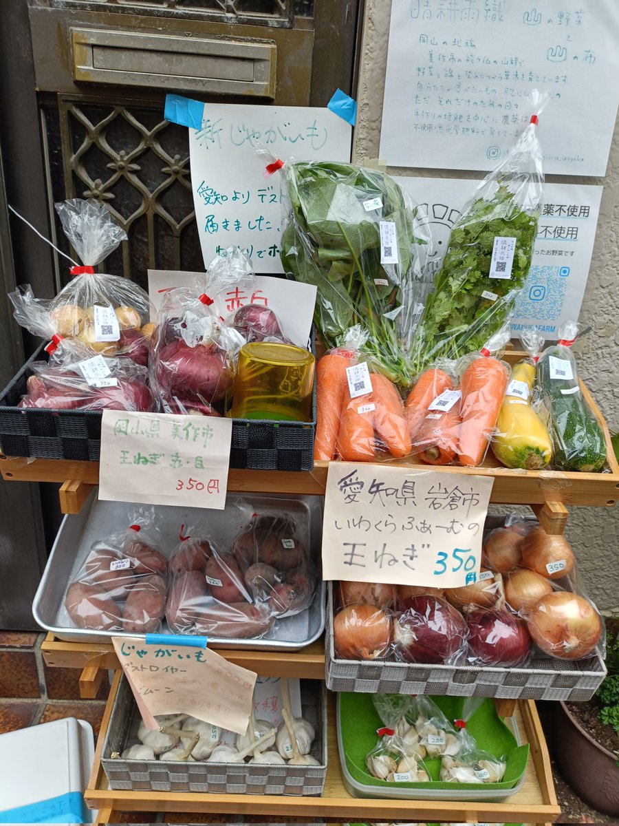 iwakurafarm's tweet photo. こんにちはー。岡山県と愛知よりお野菜届きました

万願寺とうがらしときゅうりはまだ収穫できませんでしたm(__)m次回頼んでみます

ご予約以外で無人販売に出しているお野菜は

赤白玉ねぎ、人参、じゃがいも（デストロイヤー、レッドムーン）、パクチー、ズッキーニ黄色、緑、空芯菜、にんにくです https://t.co/iR3QB9idKw