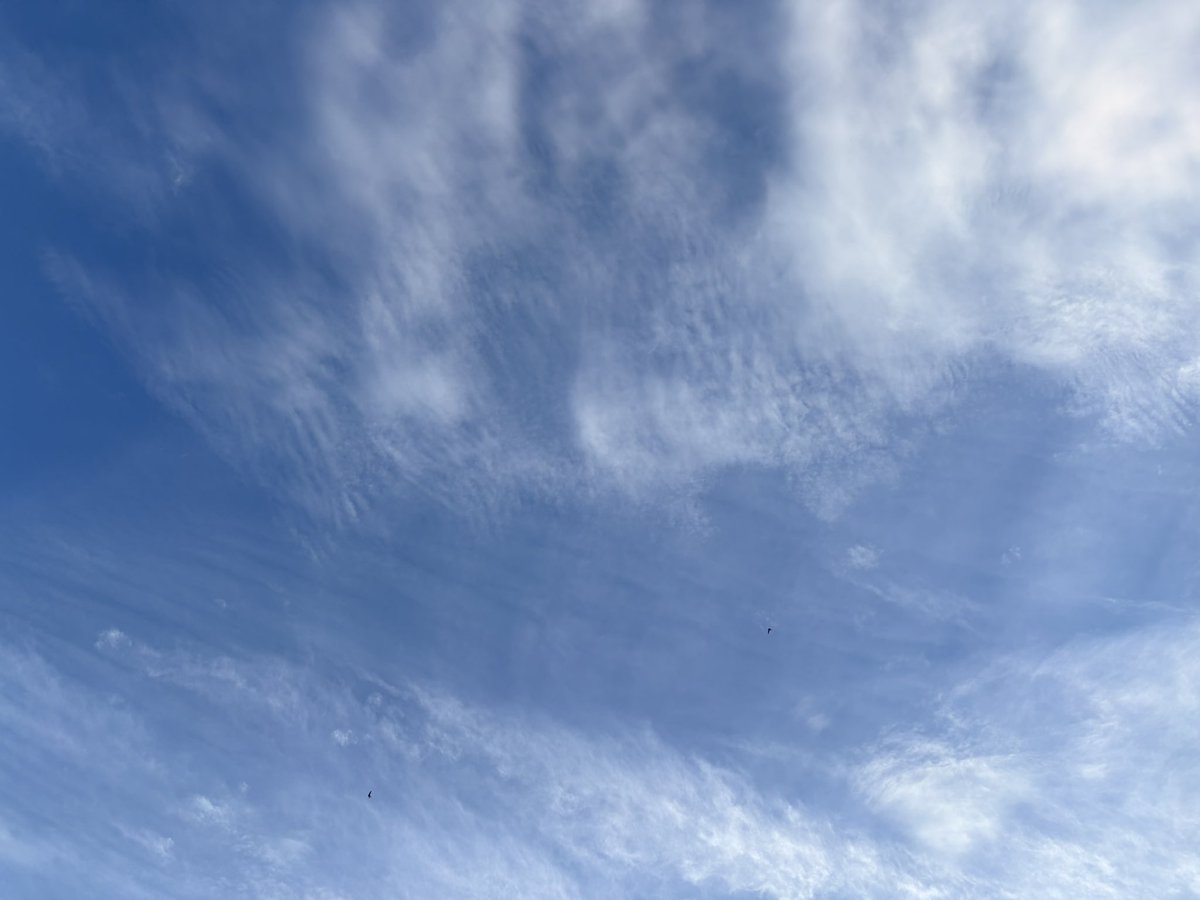 SaskiaHeijden's tweet photo. You can bet your life on it!
That you are being lied to.
These are not contrails.

7-7-2026
Nederland 
Provincie Zeeland 
7:00 uur. https://t.co/qL7gXGhr6O