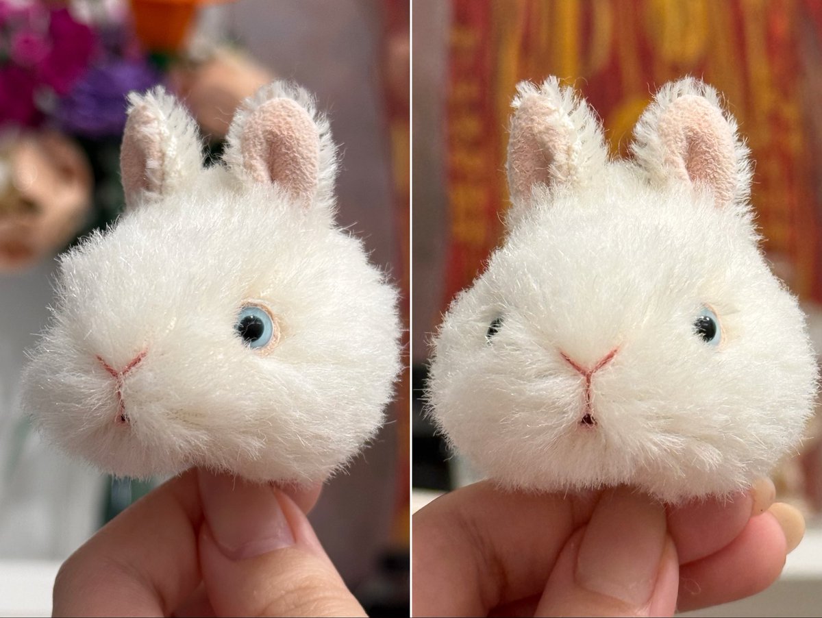 Bonita Rabbits🐰 (@rui0104457516) / Posts / X