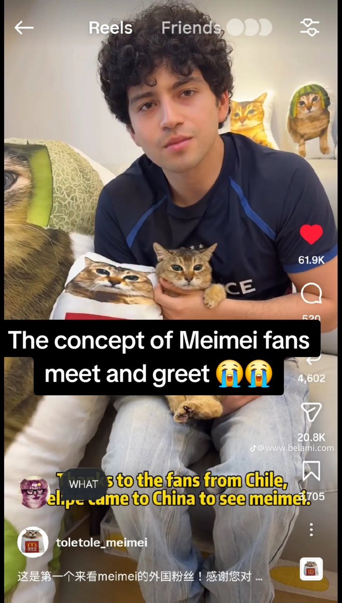 moekitkats's tweet photo. moots would you pull up to this https://t.co/QQslKQLswf