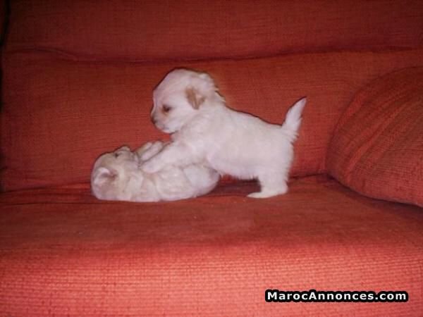 retweetanimalss's tweet photo. https://t.co/lrEwIygXgP