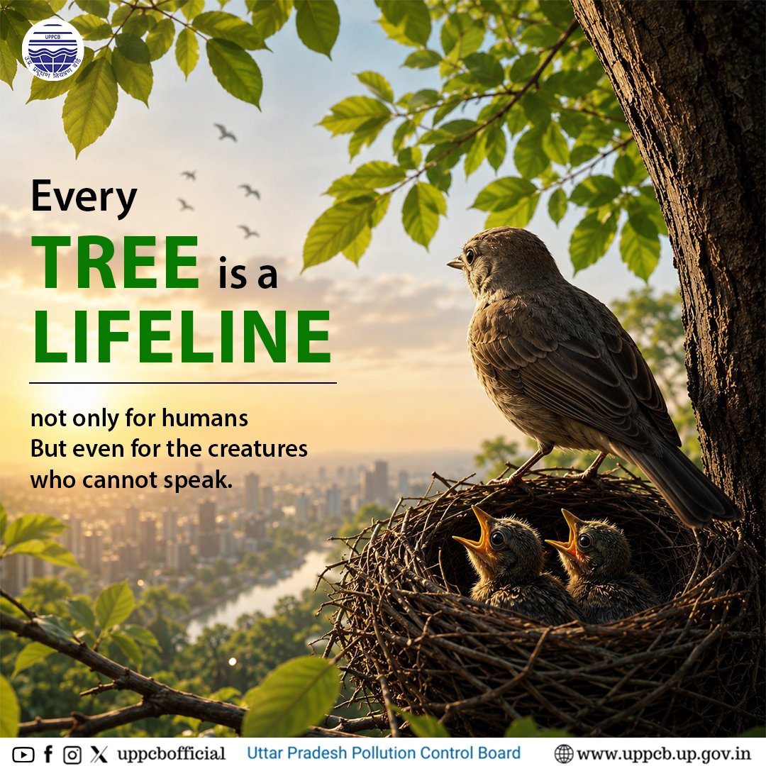 uppcbofficial's tweet photo. Trees are the silent guardians of everybody's life.

Protecting Trees means protecting every life they support!

@moefcc  @UpforestUp  @CPCB_OFFICIAL 

#UPPCB #PlantATree #GreenFuture #VanMahotsav https://t.co/4Nh0Yrps8s