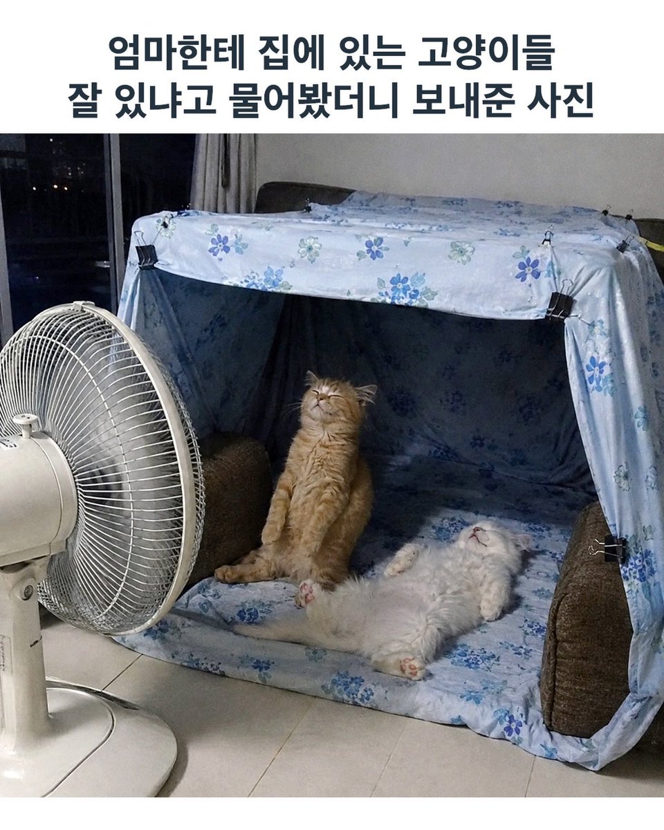 hey_sucheol's tweet photo. 아주 잘 있네 https://t.co/v0jgodXHN1