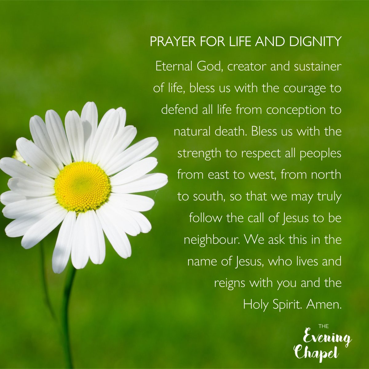 EveningChapel's tweet photo. #TEC #TheEveningChapel #Dailydedication #PrayerForLifeandDignity https://t.co/PbvIAp1PBC