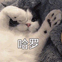 好女孩没有市场我恨纯情 tweet media
