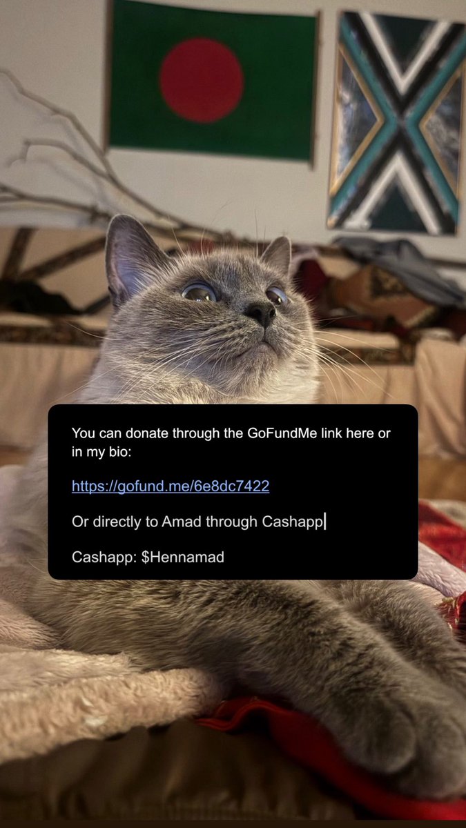 tigerfoos's tweet photo. Please consider donating to help my friend Amad on her immigration journey!!
Donation links to follow in the comment to this post https://t.co/RqM7t699ee