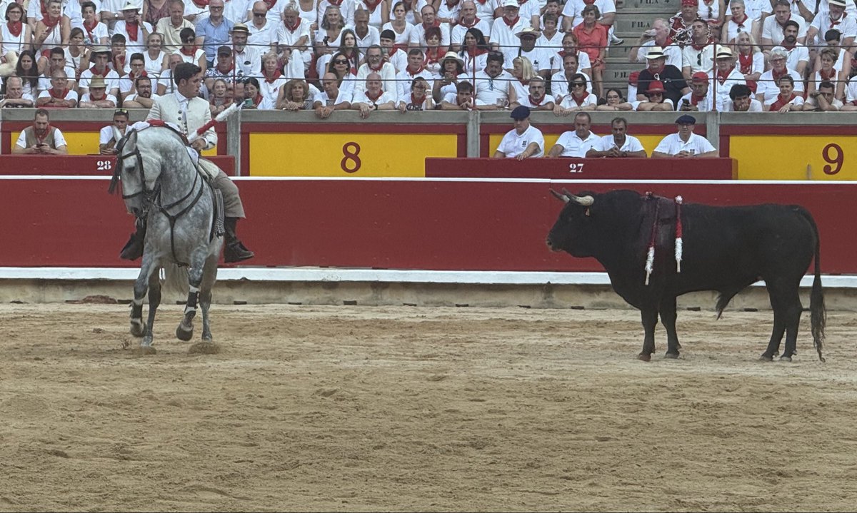 dolorlumbar's tweet photo. Corrida de R ejones del día 6 https://t.co/yK8U9LsEDK https://t.co/oWrnIK2ZVv