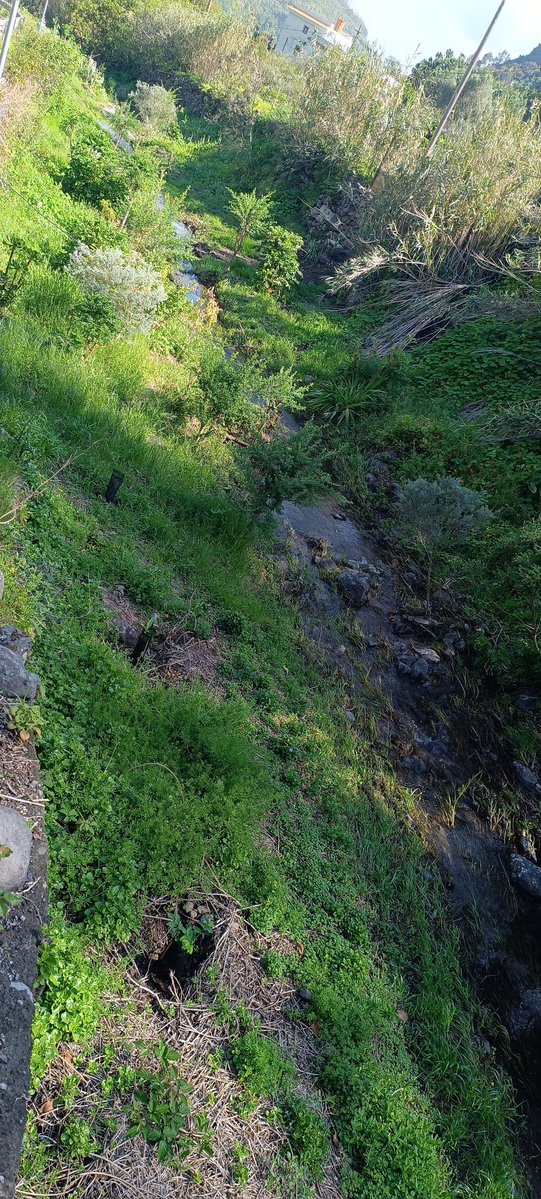 Bcodelavirgen's tweet photo. Buenos días, feliz martes 😉

https://t.co/c0jtvZI6yR

#barrancodelavirgen 
#valleseco
#turismovalleseco
#vallesecosuspaisajesygentes 
#grancanaria
#parqueruraldoramas
#Valsendero 

Barranco de la Virgen https://t.co/E1rLdyRZDD