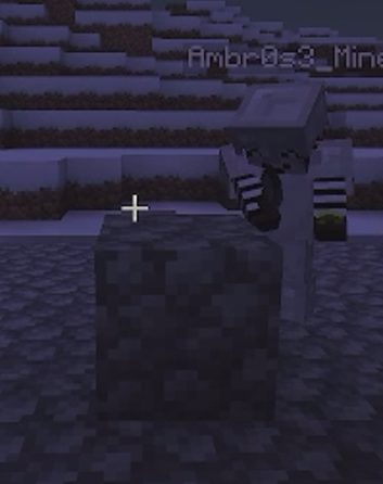 iMikizz_'s tweet photo. Nah bro, just use the pickaxe😭
@Ambr0s3_Mine https://t.co/JN4WsflLZH