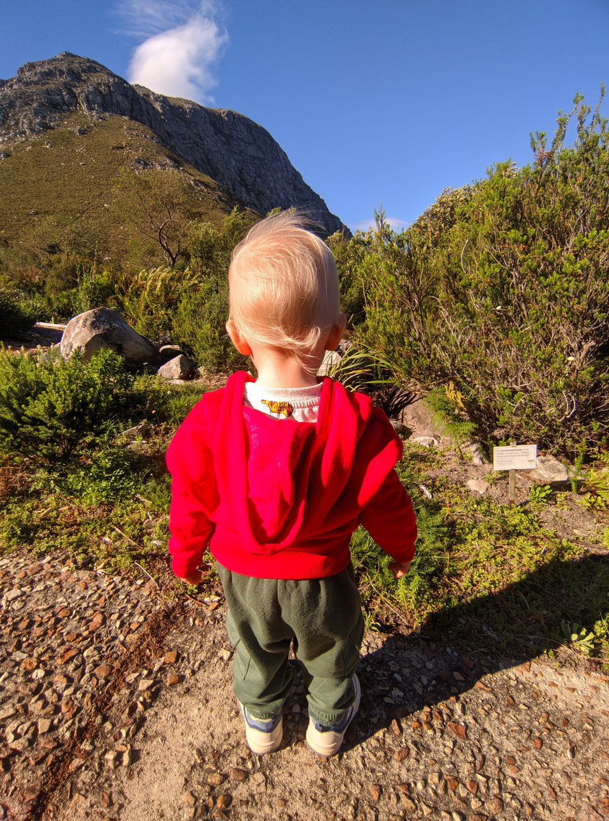 MickeyDangerez's tweet photo. Saying goodbye to loved ones before the major leg of our great trek begins…

My son is looking up at the Kogelberg Mountains with wonder, already dreaming of a promising future that lies ahead.

Your prayers right now mean the world to us. 🙏

We’re carrying so much hope with us. Thank you for walking this journey with us.

Follow along for updates as the trek continues. 🇿🇦➡️🇺🇸