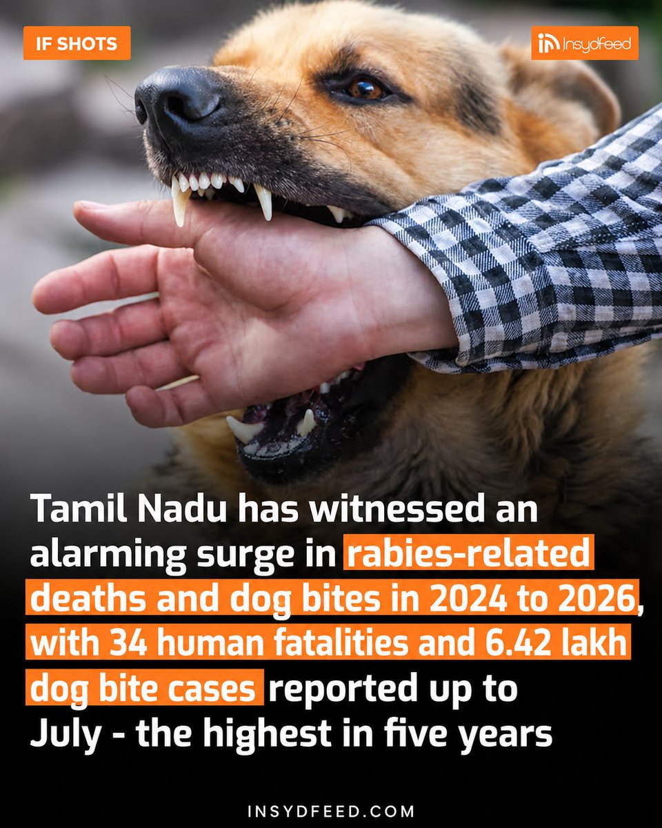 TomBenn62528225's tweet photo. Beware guys and actors and fans from tamil nadu spreading rabies to human😨😨😨😨😨 #Seyon #dogs #Straydogs #Jananayagan #Testtube #Smallpemmis https://t.co/GMYaTLU58a