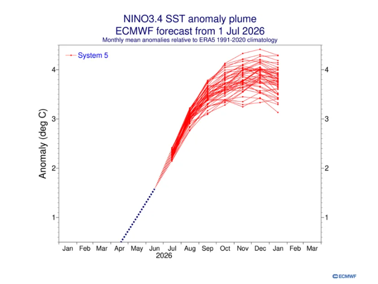 climatologa's tweet photo. La #NOAA amplía la escala de sus gráficos , tras predecir un evento de #ElNiño de #intensidad #excepcional.👇
En las últimas actualizaciones del modelo CFSv2 , se han #ampliado la escala en sus #gráficos (figura 1), debido al aumento progresivo de las proyecciones, que contemplan escenarios con anomalías #TSM superiores a +4 °C en la región Niño 3.4, un nivel asociado a un #evento de #intensidad #excepcional.
( figura 2)
En las próximas semanas será fundamental seguir la #evolución de los #distintos #modelos para comprobar #si #esta #señal se #consolida o si las #proyecciones comienzan a #moderarse.
Más info👇
https://t.co/LtfHSeqnRv