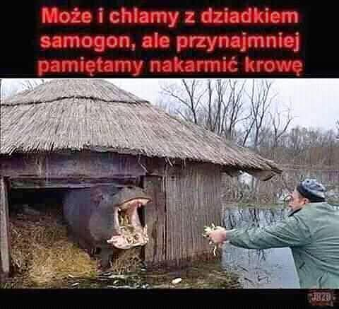 gorgiasz17 tweet picture