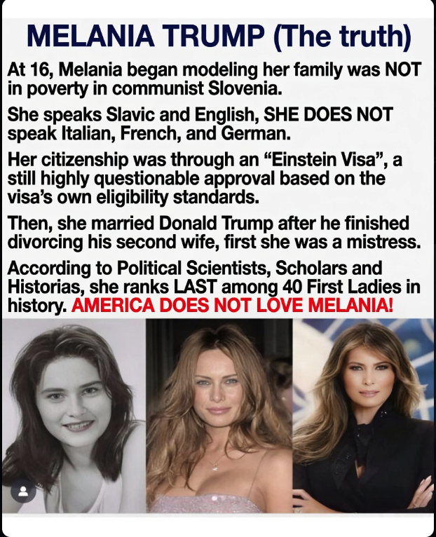JuanCastel21756's tweet photo. @sarahtexe FACT CHECKED! https://t.co/eSr0R75t7D