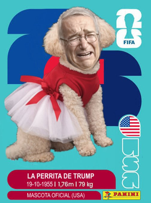 rand0m3e1's tweet photo. #LaPerritaDeTrump triste por la eliminación de EEUU del mundial. https://t.co/zhVnBlyaGD