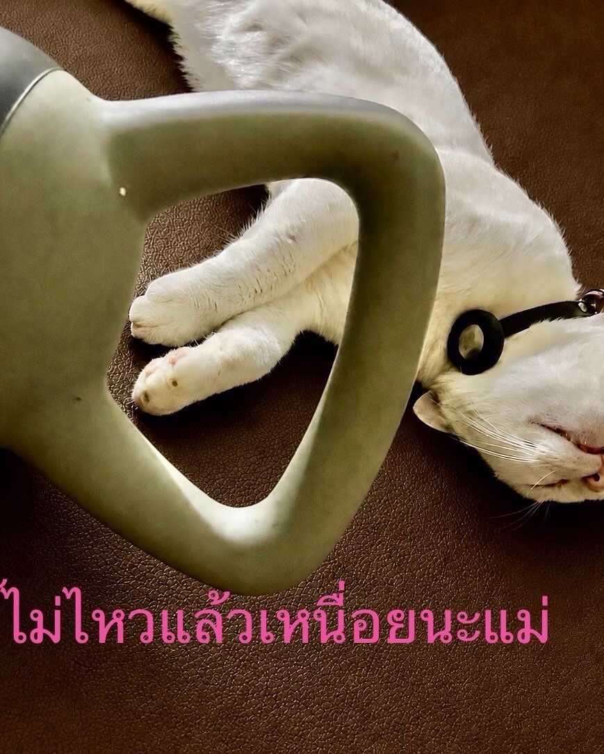 bussabaa55's tweet photo. แม่โจ้อี้เหนื่อย😩