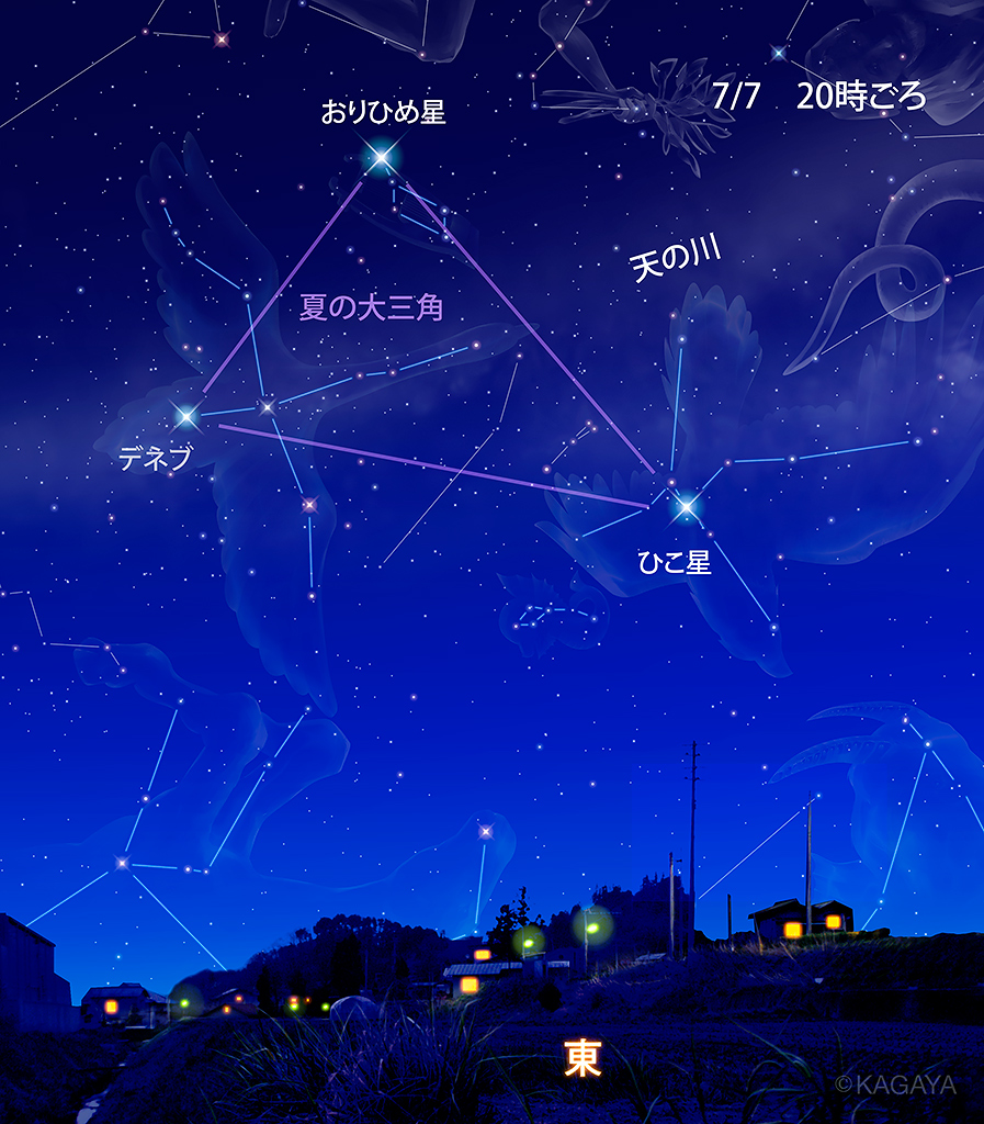 KAGAYA_11949's tweet photo. 今日は七夕。  星が見えたら、織姫星と彦星をさがしてみませんか。 探し方は簡単です。 日が暮れたころの東の空を見上げて、一番明るく見える星が織姫星です。 https://t.co/Ej173JZcnx