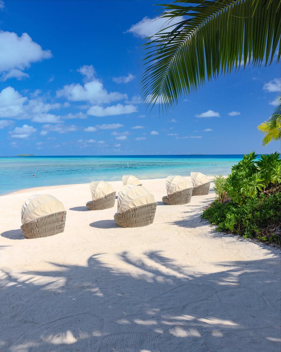 earthwhisperss's tweet photo. Blue paradise in Maldives 🇲🇻 https://t.co/wcOU1whVyR