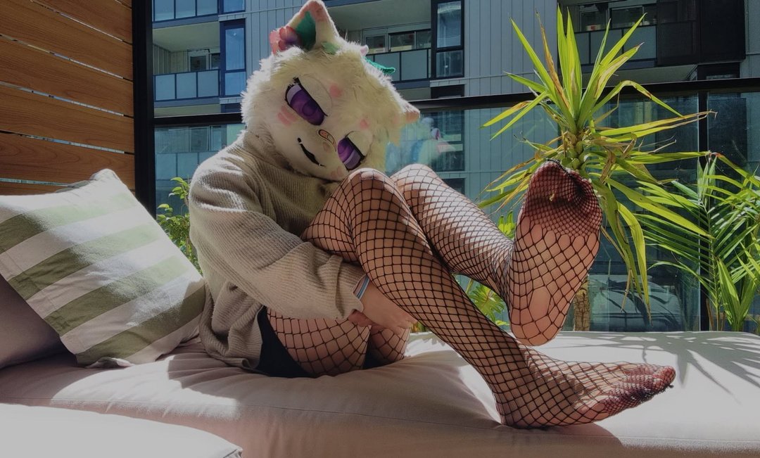 KibbySoftPaws🏳️⚧️ tweet media
