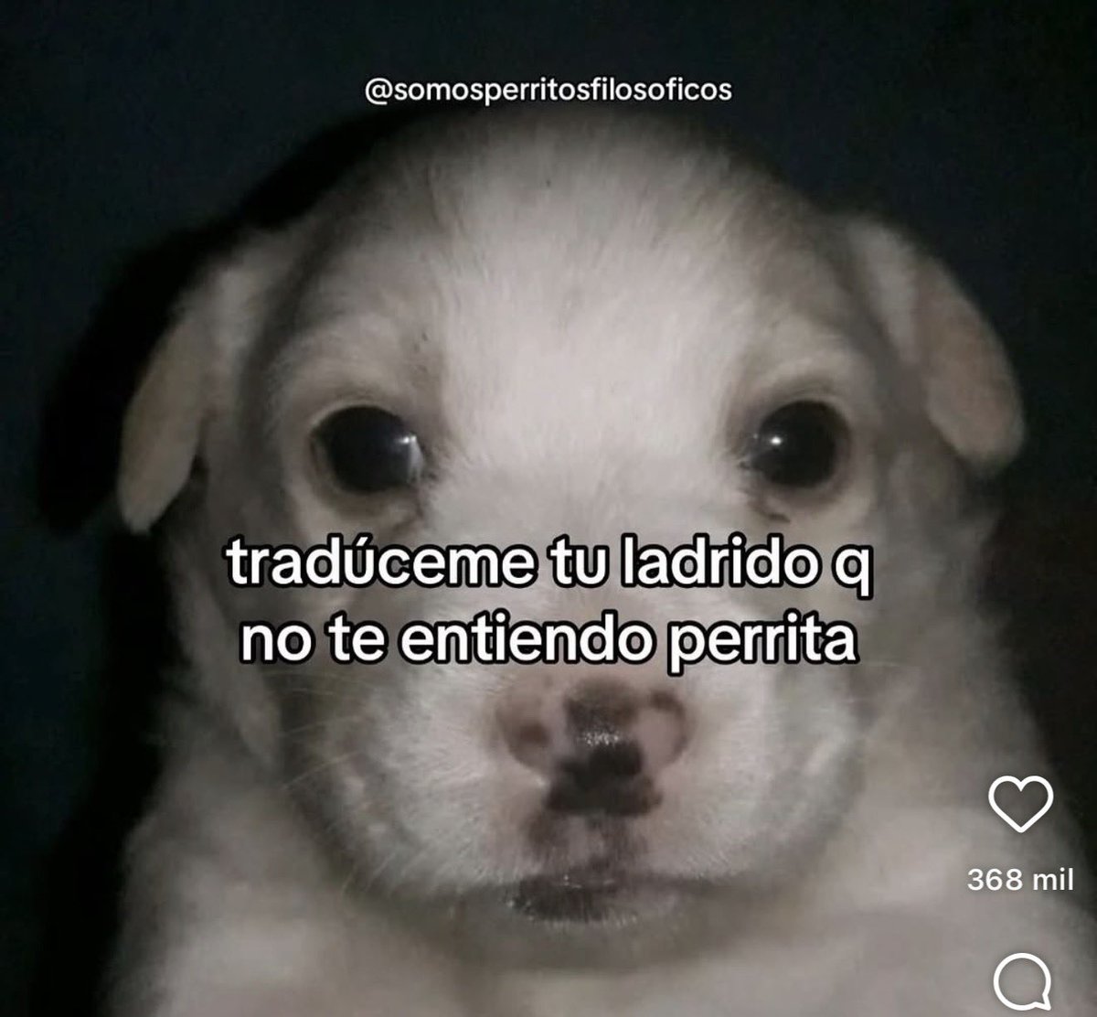 achege16's tweet photo. @CelesteSenadora https://t.co/W7oCINUdQL