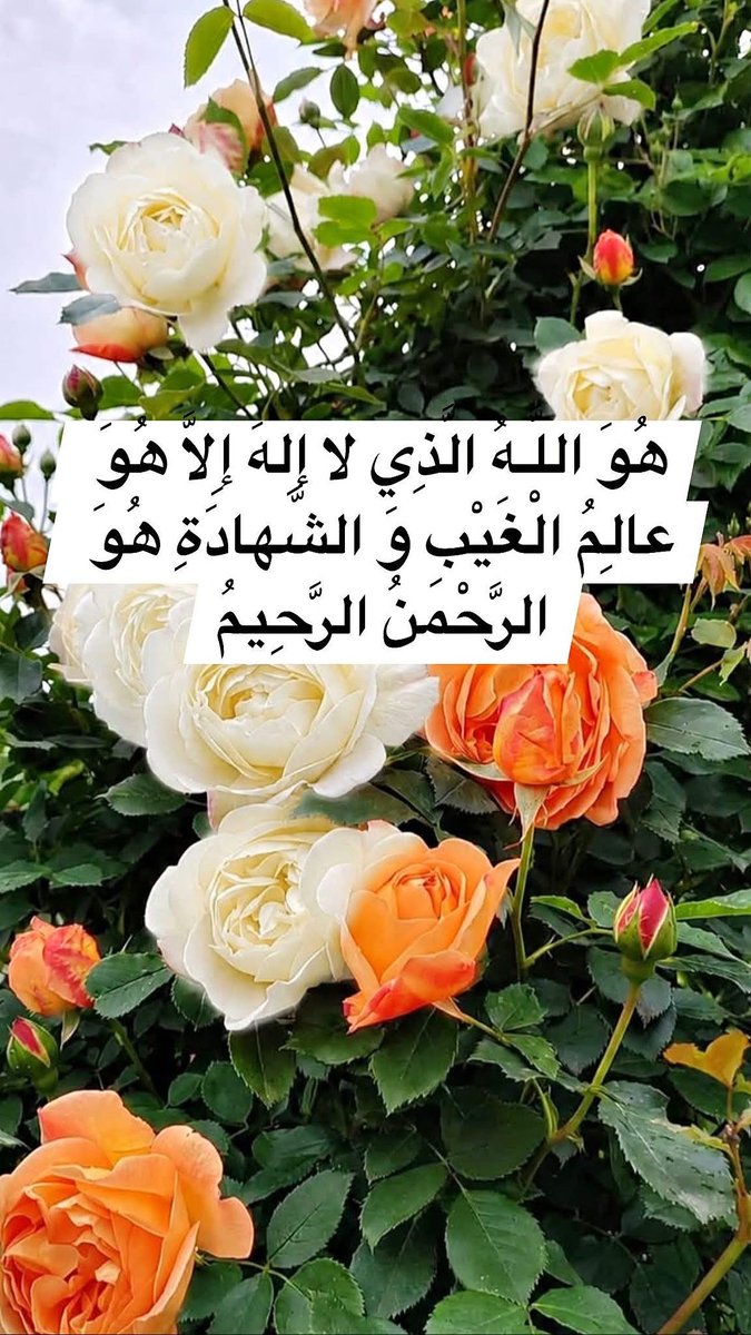 h92f56's tweet photo. بسم الله الرحمن الرحيم
(وَ قُلِ اعْمَلُوا فَسَيَرَ�� اللَّـهُ عَمَلَكُمْ وَ رَسُولُهُ وَ الْمُؤْمِنُونَ وَ سَتُرَدُّونَ إِلى عالِمِ الْغَيْبِ وَ الشَّهادَةِ فَيُنَبِّئُكُمْ بِما كُنْتُمْ تَعْمَلُونَ)
صدق الله العلي العظيم https://t.co/z2ANsEAJ2f