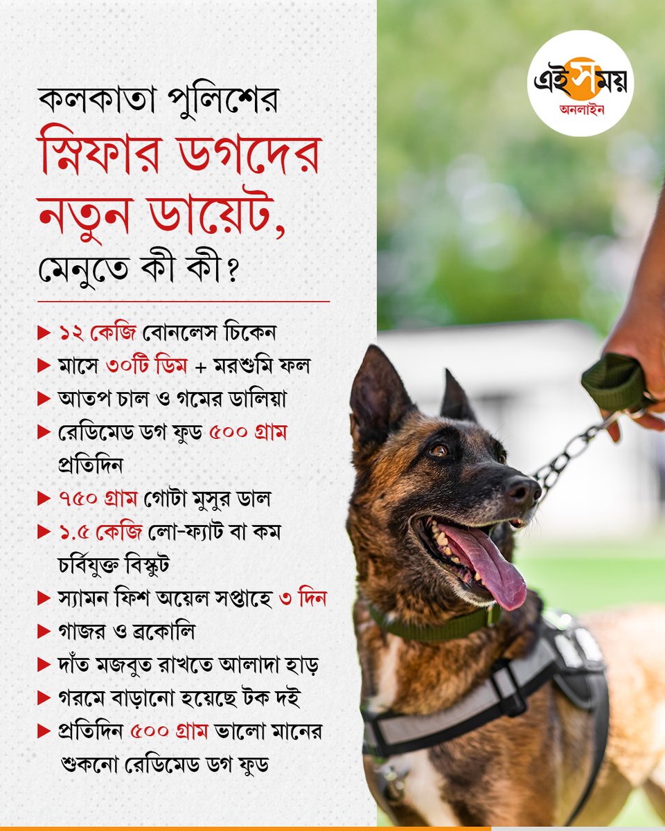 Ei_Samay's tweet photo. Kolkata Police | Sniffer Dog Diet | কলকাতা পুলিশের স্নিফার ডগদের ফিট রাখতে রাজকীয় ডায়েট
#KolkataPolice #LalBazaar #SnifferDogs #dogfitness #EiSamay #eisamayonline https://t.co/KprdDgUEE1