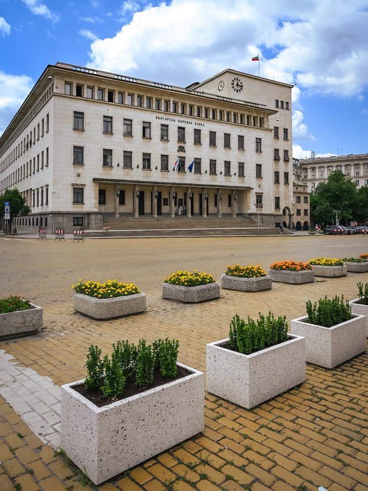 Vassil Terziev tweet media
