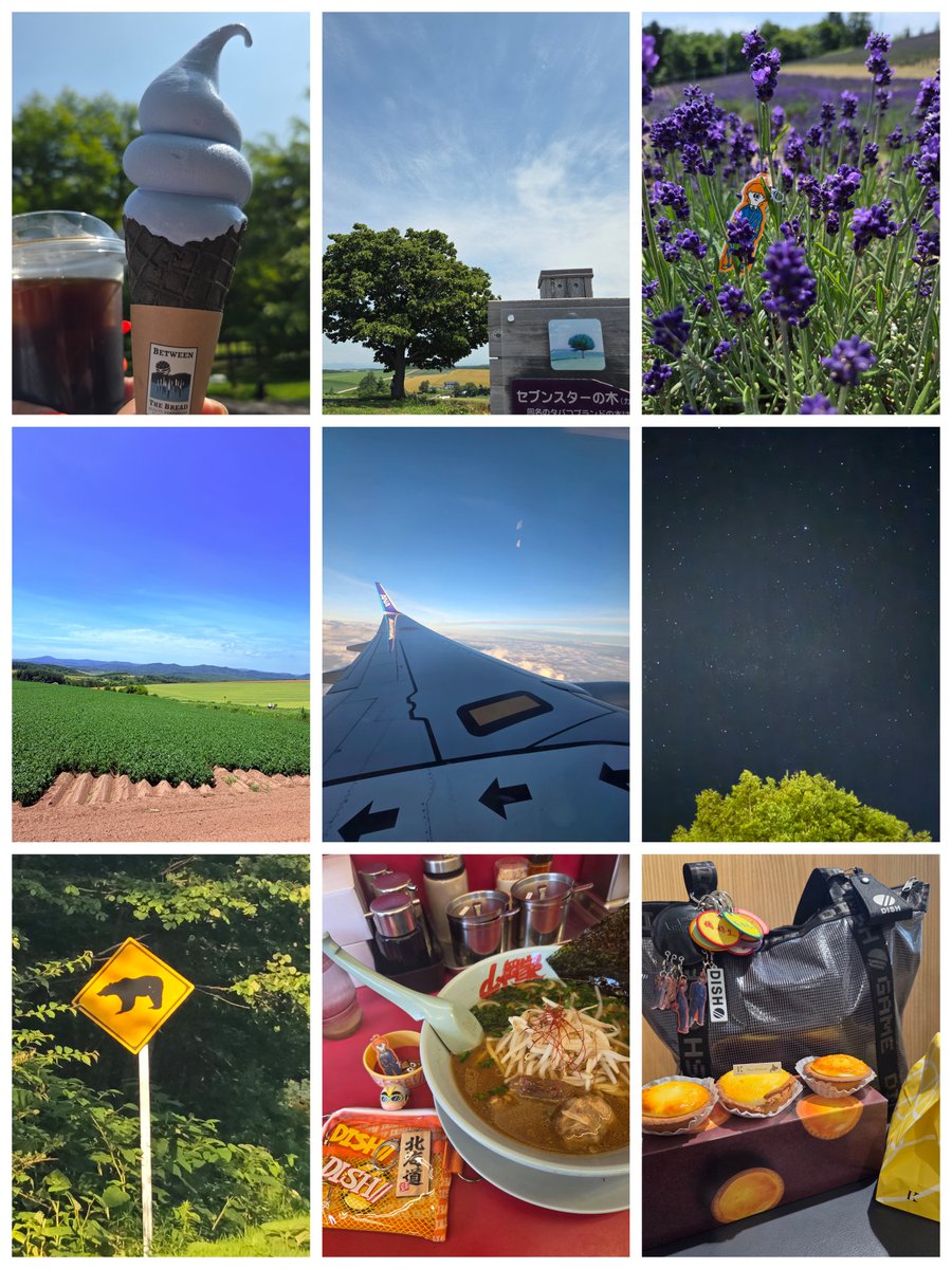 _ryonko_'s tweet photo. aRange北海道
ライブはもちろん食べ物景色全てが最高✨
今年も2泊したけど足りず😢何泊すれば満足できるのか…来年もあるなら北海道の柊生くんは見逃せないな💛
余市のウニ食べに行けて美瑛も富良野も行けて大満足🚗
道中ミニホースが散歩してたのは衝撃だった🐴北海道はペットで馬をかえちゃうんだ♡ https://t.co/BSyXvqwCl9