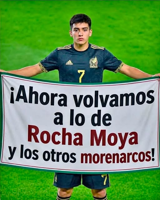 GARCIPAVON's tweet photo. ¿Regresamos al tema de Rocha Moya y toda la horda de morenarcos? 👇