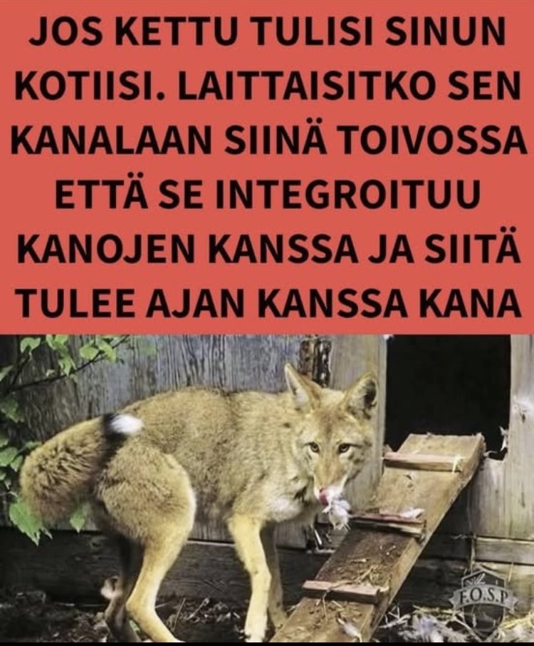 TennilaMatias's tweet photo. https://t.co/4kORsajOar