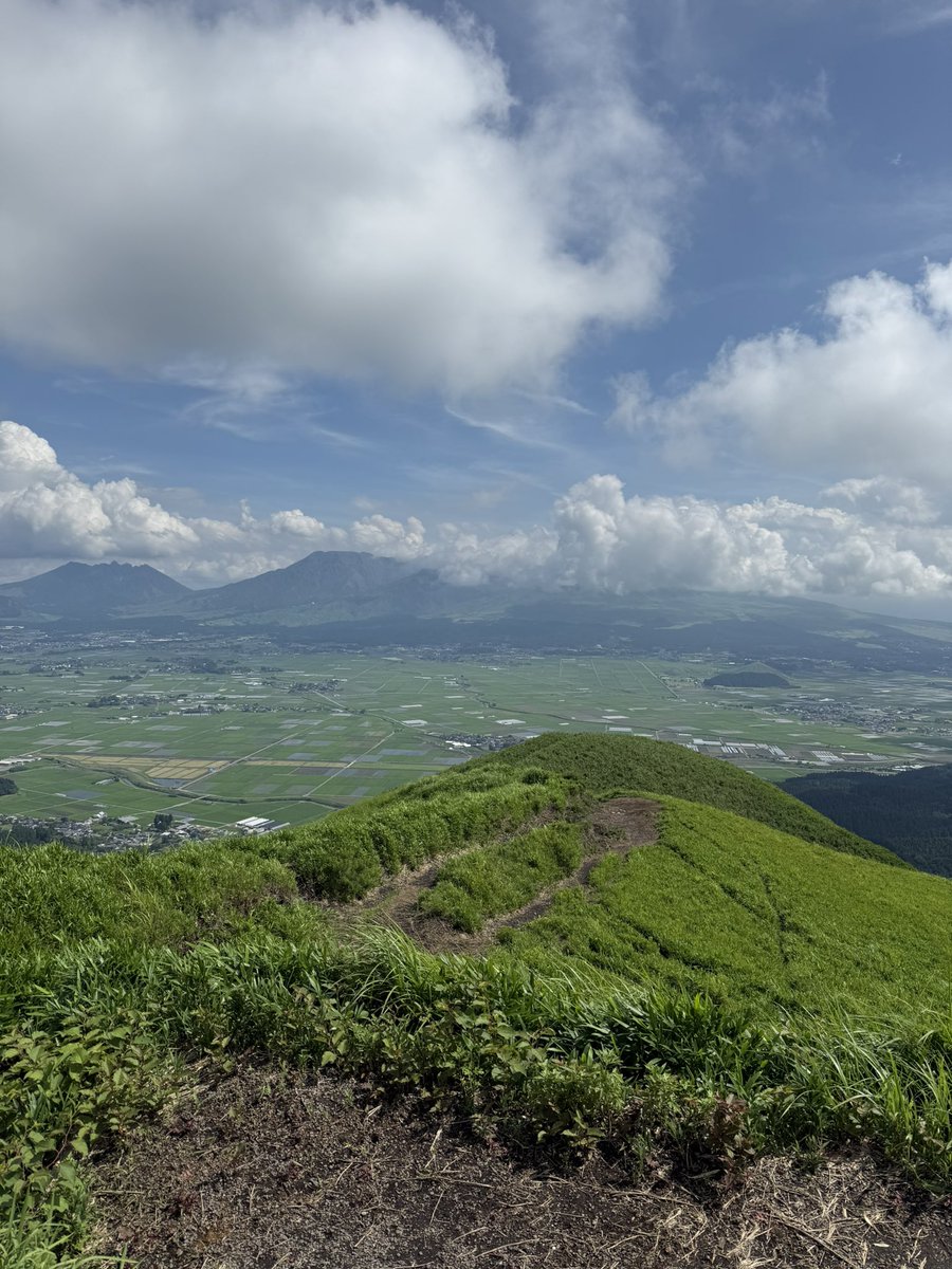 ApexONEPUNCHMAN's tweet photo. リフレッシュ🌳 https://t.co/u3GXz5mF8m