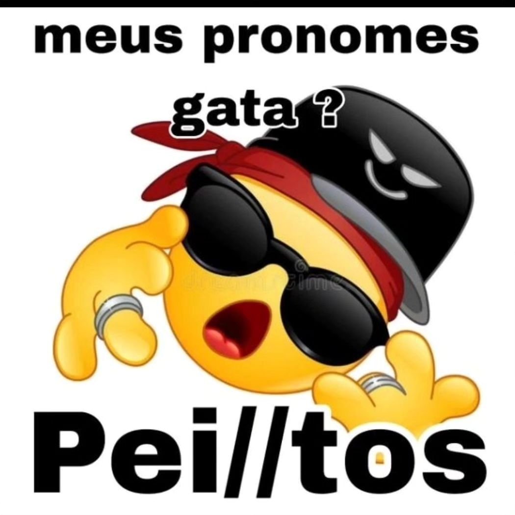 perfil dedicado a gatinhos e p3it0s tweet media