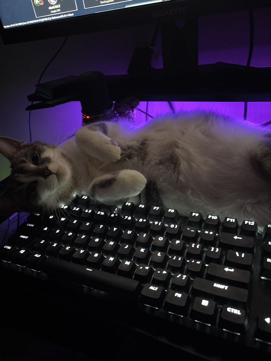kittenwires's tweet photo. how am i supposed to play league in these conditions? https://t.co/IcH9dr7erE