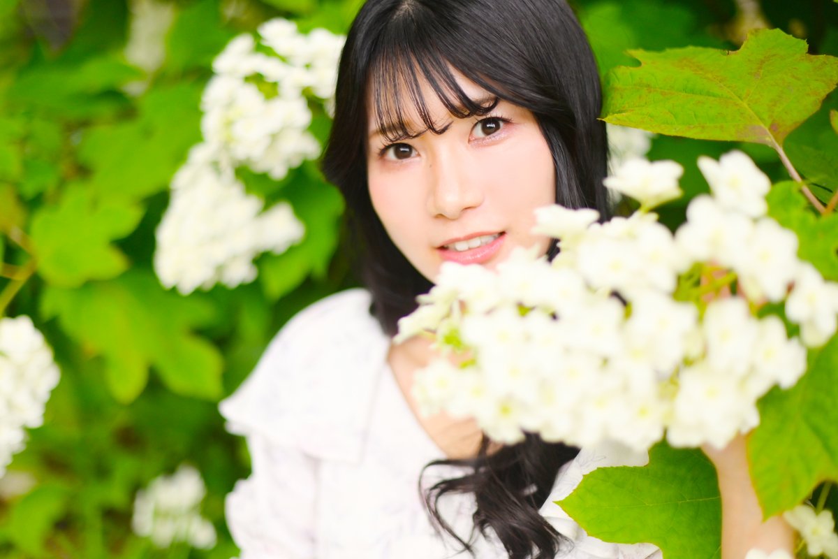 hikari