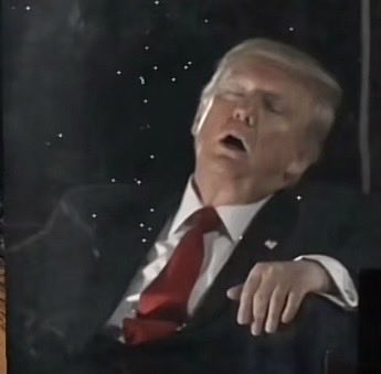 Suzierizzo1's tweet photo. Imagine ever having the nerve to talk about Sleepy Joe Biden again after this fly catching photo! https://t.co/ryZW0JMnB5