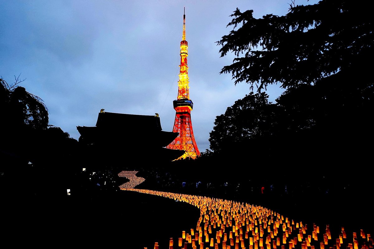 The Gov't of Japan tweet media