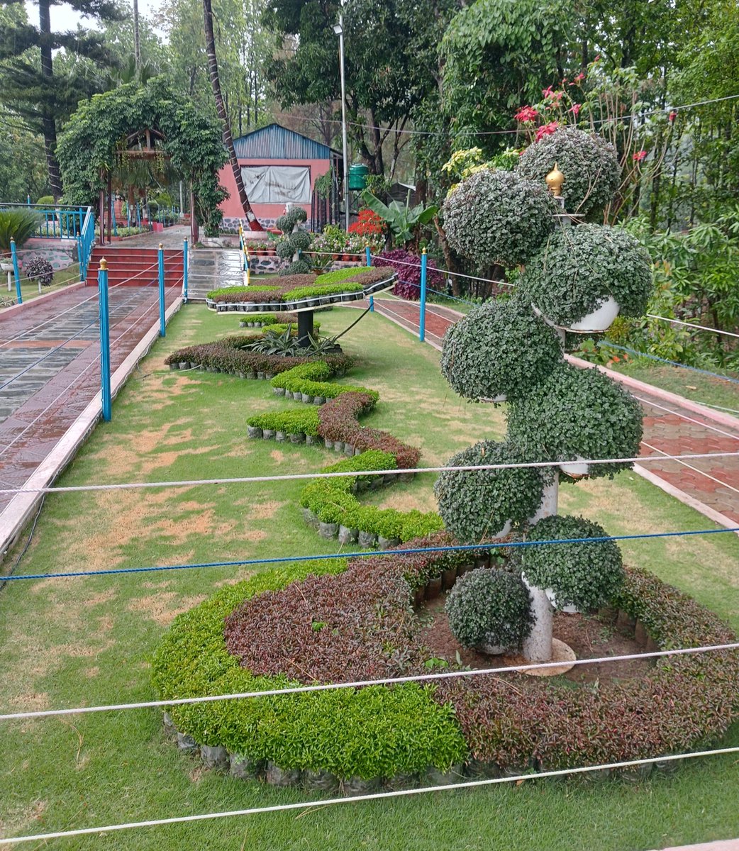 Rajeshaaaj's tweet photo. Life is the garden we create,
With love,
With faith,
Not fear or fate.
May every heart become a place,
Where kindness blossoms,
Full of grace 🫶
Dream of the great human world🤗 https://t.co/0JxuHbNVpb